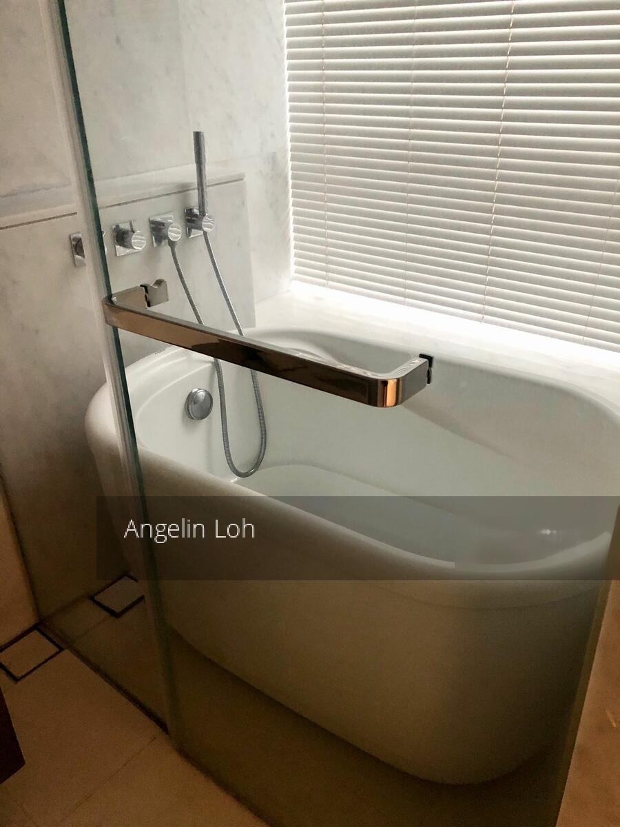 Scotts Square (D9), Apartment #313639561